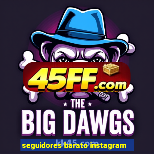 seguidores barato instagram